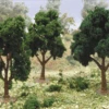 JTT 92129 - Super Scenic Trees: Deciduous 2.5-3.5" - Green 6pcs - Multi Scale