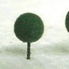 JTT 94331 - Professional Trees: Micro-Tree Dark Green " - 30pcs - Multi Scale -Woodland Scenics Shop 0594331 2T 25838.1680930832