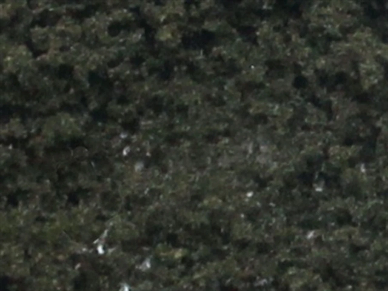 JTT 95255 - Turf: Blended Conifer Coarse - Bag - 20cu In - Multi Scale 3 JTT 95255 - Turf: Blended Conifer Coarse - Bag - 20cu In - Multi Scale