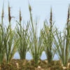 JTT 95634 - Cattails: Dried 24/pk - 1.5" - O Scale -Woodland Scenics Shop 0595634 2T 88175.1680927084