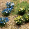 JTT 95644 - Wild Flower: Blended 48/pk - Multi Scale 1 JTT 95644 - Wild Flower: Blended 48/pk - Multi Scale -Woodland Scenics Shop 0595644 2T 70532.1680929257