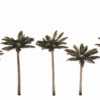 Woodland Scenics Woodland Classics #3597 - Palm Trees 3" To 3-3/4" - 5/pkg 2 Woodland Scenics Woodland Classics #3597 - Palm Trees 3" To 3-3/4" - 5/pkg -Woodland Scenics Shop TR3597 PHOTO HR 68124.1645224816