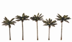 Woodland Scenics Woodland Classics #3597 - Palm Trees 3" To 3-3/4" - 5/pkg