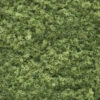 Woodland Scenics #51 - Foliage - Light Green -Woodland Scenics Shop Woodland Scenics Foliage Light Green 111230871167 44405.1645224852