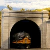 Chooch #9730 - Double Concrete Tunnel Portal (2) - N Scale -Woodland Scenics Shop cho9730a 75714.1671410936