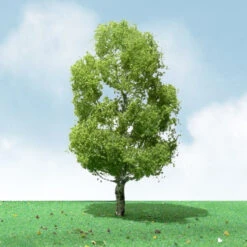 JTT 92409 - Pro-Elite Trees: Birch 8" - 1pcs - O Scale