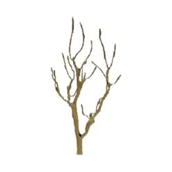 JTT 94106 - Professional Trees Pro Armature: Mountain Gum 3" - 4pcs - HO Scale