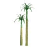 JTT 94241 - Professional Trees: Royal Palm 1" - 6pcs - Multi Scale