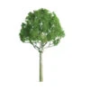 JTT 94249 - Professional Trees: Round Head 1.5" - 4pcs - Multi Scale -Woodland Scenics Shop jtt594248 64024.1671411290