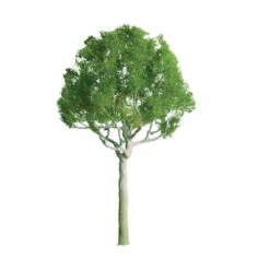 JTT 94249 - Professional Trees: Round Head 1.5" - 4pcs - Multi Scale