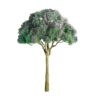 JTT 94280 - Professional Trees: Purple Jacaranda 2" - 4pcs - Multi Scale