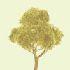 JTT 94327 - Professional Trees: Basswood Deciduous 2" - 4pcs - Multi Scale