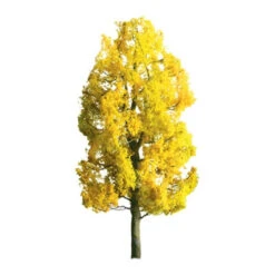 JTT 94369 - Professional Trees: Sycamore Early Fall 1" - 6pcs - Multi Scale