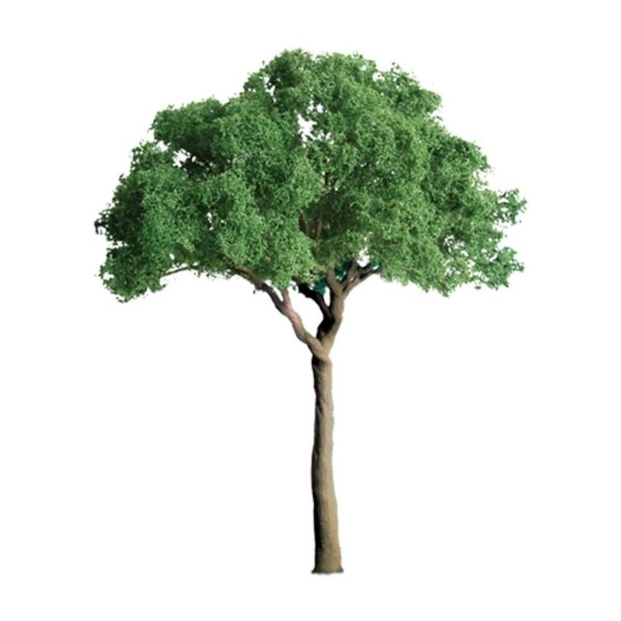 JTT 94398 - Professional Trees: Green Jacaranda 1/2" - 6pcs - Multi Scale 3 JTT 94398 - Professional Trees: Green Jacaranda 1/2" - 6pcs - Multi Scale