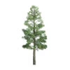 JTT 94399 - Professional Trees: Pine 3/4" - 6pcs - Multi Scale