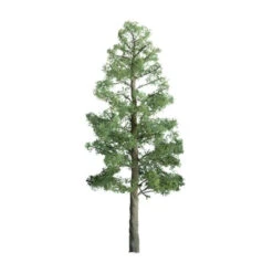 JTT 94399 - Professional Trees: Pine 3/4" - 6pcs - Multi Scale