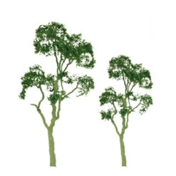 JTT 94409 - Professional Trees: Gum 1.5" - 6pcs - Multi Scale