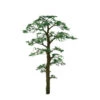 JTT 94432 - Professional Trees: Scots Pine 1" - 6pcs - Multi Scale -Woodland Scenics Shop jtt594432 98101.1671411298