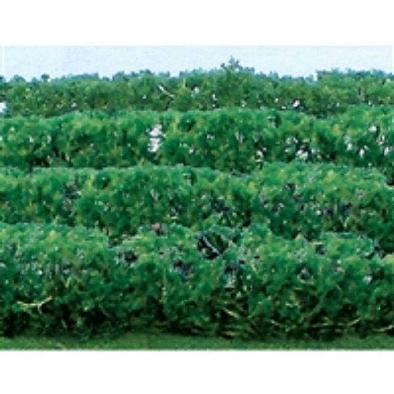 JTT 95515 - Flower Hedges: Green 8/pk 5" X 3/8" X 5/8" - HO Scale 3 JTT 95515 - Flower Hedges: Green 8/pk 5" X 3/8" X 5/8" - HO Scale