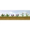 JTT 95557 - Flower Plants Assortment: #1 - 12/pk - HO Scale