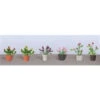 JTT 95565 - Flower Plants Potted Assortment: #1 - 6/pk - HO Scale -Woodland Scenics Shop jtt595565 53432.1671411317