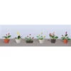 JTT 95570 - Flower Plants Potted Assortment: #3 - 6/pk - O Scale