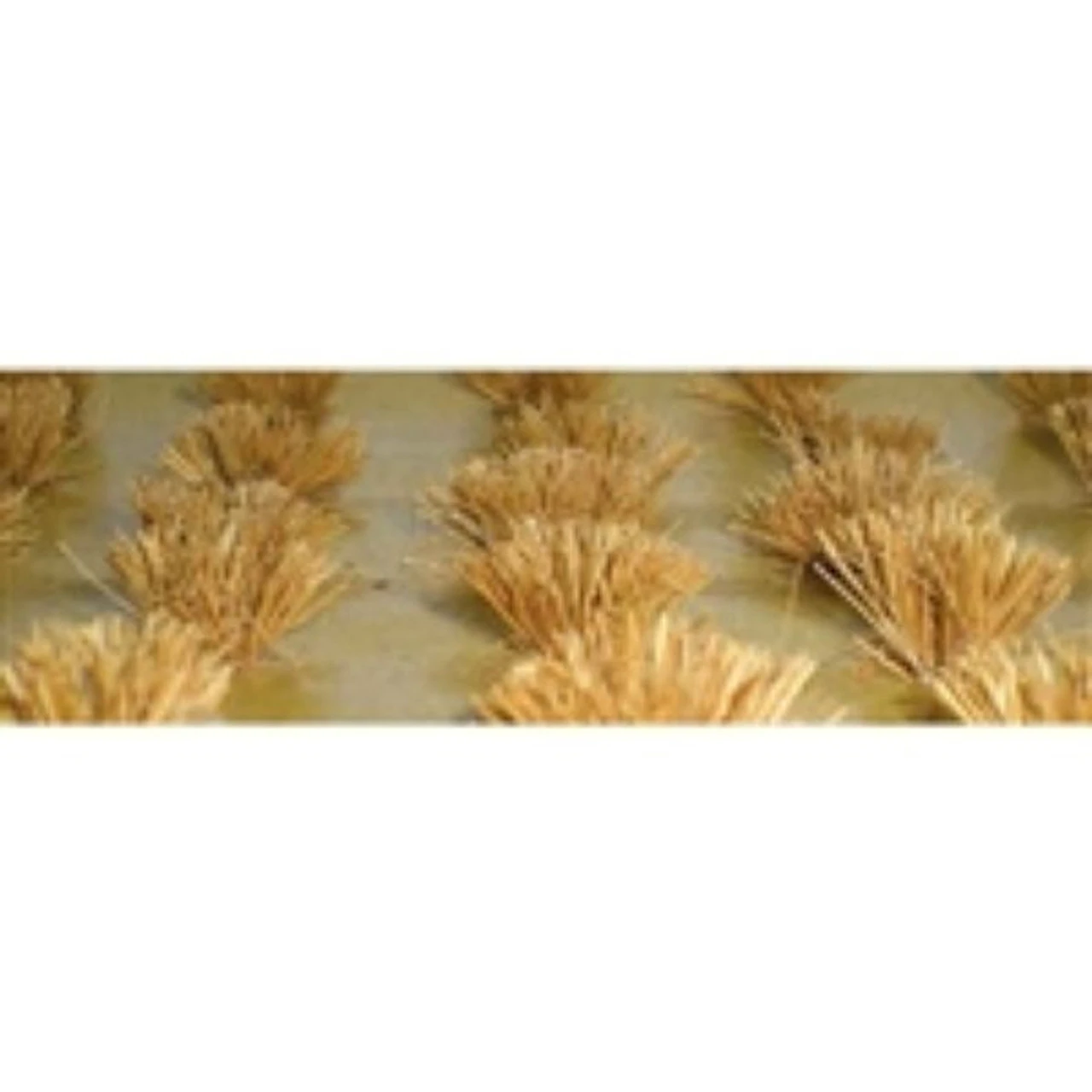 JTT 95579 - Detatchable Wheat Bushes: 30/pk - HO Scale 3 JTT 95579 - Detatchable Wheat Bushes: 30/pk - HO Scale