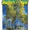 Scenic Express 0214 - Super Trees Value Pack