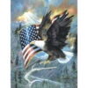 SunsOut CL59012 - American Eagle Jigsaw Puzzle, By Ruane Manning - -Woodland Scenics Shop suncl59012 60973.1678230237