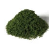 Woodland Scenics G6450 - All Game Terrain - Weeds - Summmer Green -Woodland Scenics Shop woo785 6450 63464.1679418681