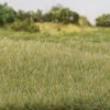 Woodland Scenics G6571 - All Game Terrain - Static Grass 5/32" 4mm Tall - Light Green