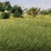 Woodland Scenics G6584 - All Game Terrain - Static Grass 9/32" 7mm Tall - Medium Green -Woodland Scenics Shop woo785 6584 68030.1679418789
