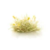 Woodland Scenics G6630 - All Game Terrain - Peel 'n' Plant Tufts - Yellow Seed